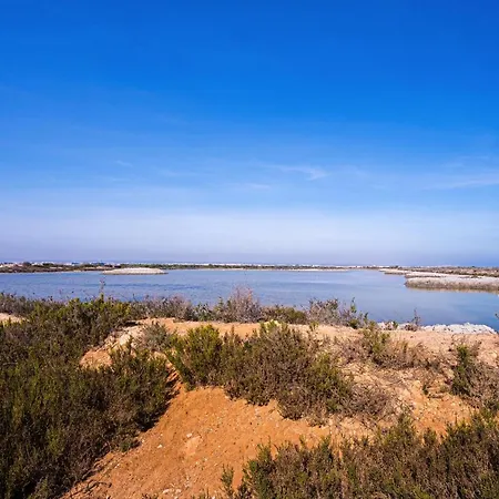 Martho Dehesa de Campoamor (Orihuela Costa)